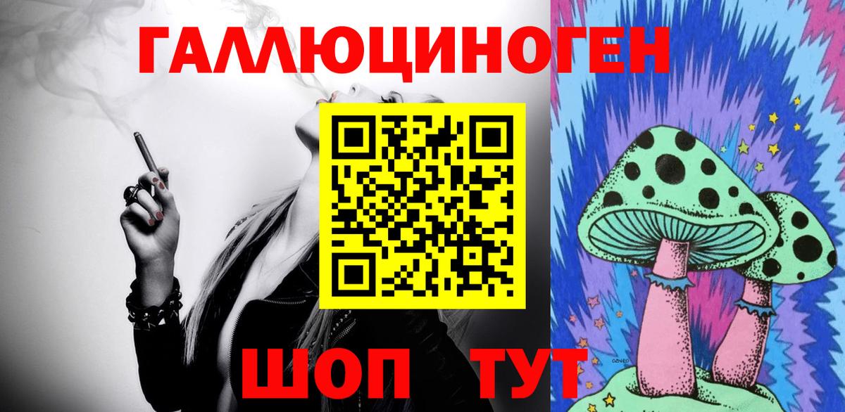 Гусь-Хрустальный  Псилоцибиновые грибы Psilocybine cubensis  Вход с VPN 