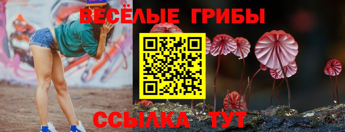 Галлюциногенные грибы ЛСД Гусь-Хрустальный